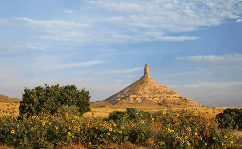 Landscape photo of Nebraska. In the background there is a rocky hill and in the foreground, bushes and yellow flowers.