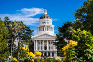 The California State Capitol Building is framed by trees and vibrant yellow roses under a clear blue sky with scattered clouds.